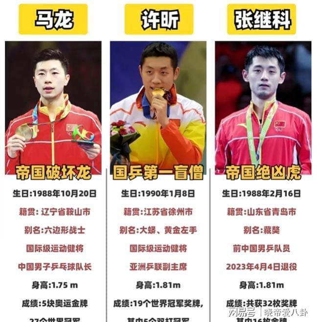 德国队险胜中国队，张继科刷新纪录