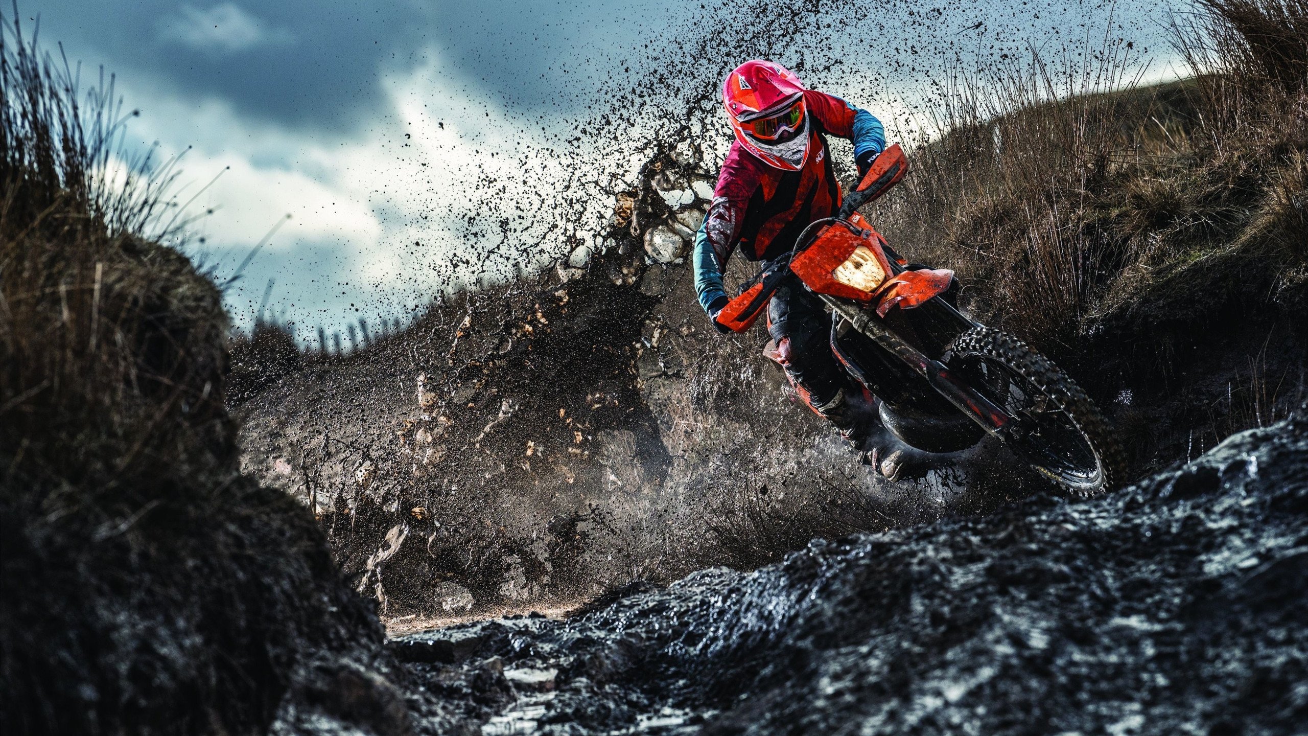 跨越篮球世界的对话,湖人强势晋级背后的广厦精神