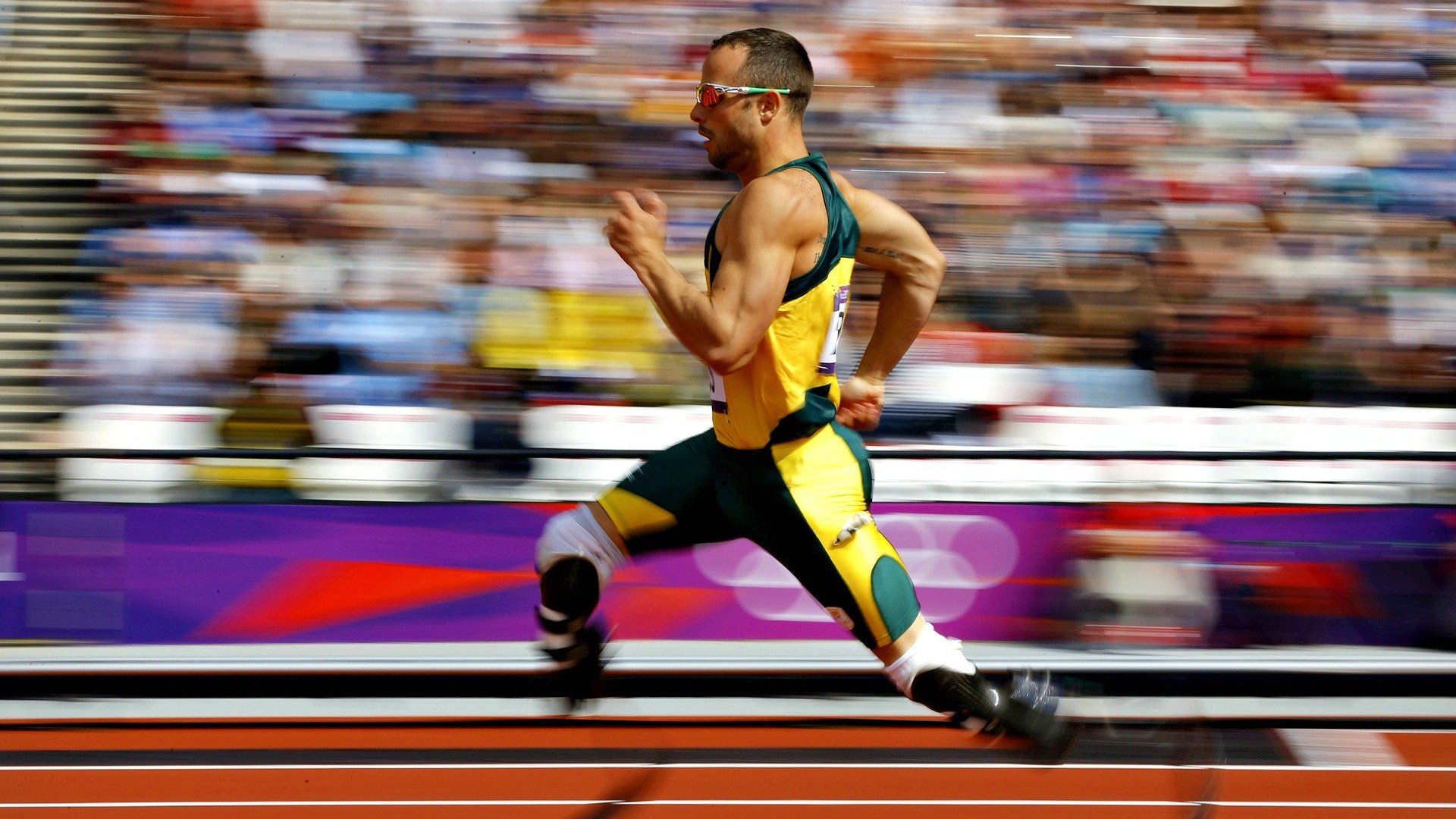 绿茵与球台的双重奏，葡萄牙横扫中国，张继科惊艳四座